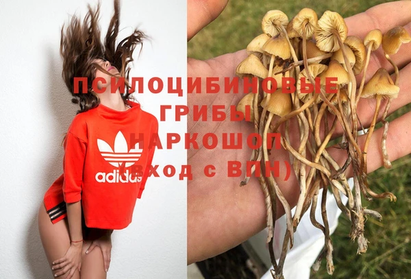 героин Гусь-Хрустальный