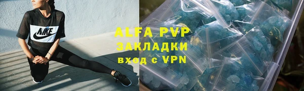 стаф Гусев