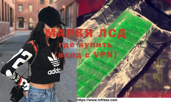 стаф Гусев