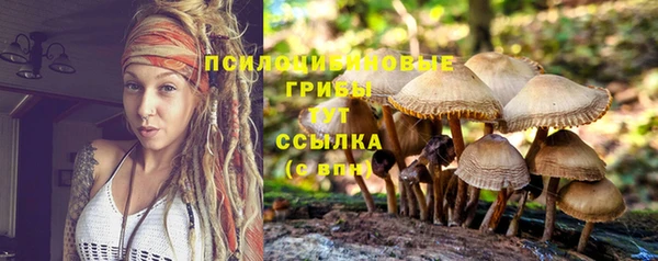 гашик Гусиноозёрск