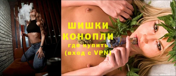 стаф Гусев