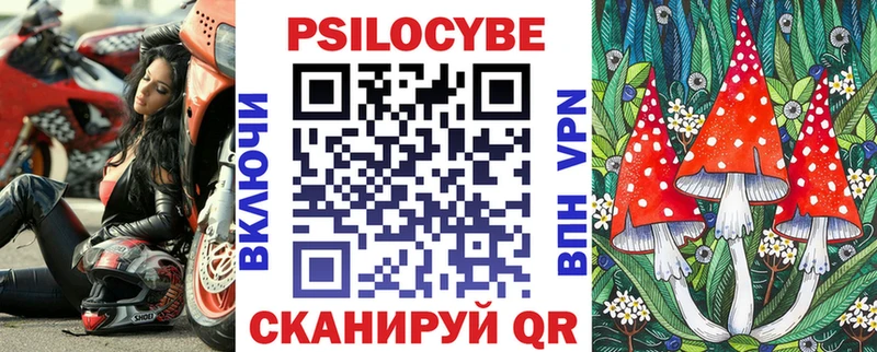 Галлюциногенные грибы Psilocybine cubensis  Купить где  Белёв 