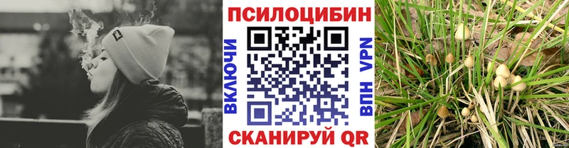Галлюциногенные грибы Psilocybine cubensis Белёв
